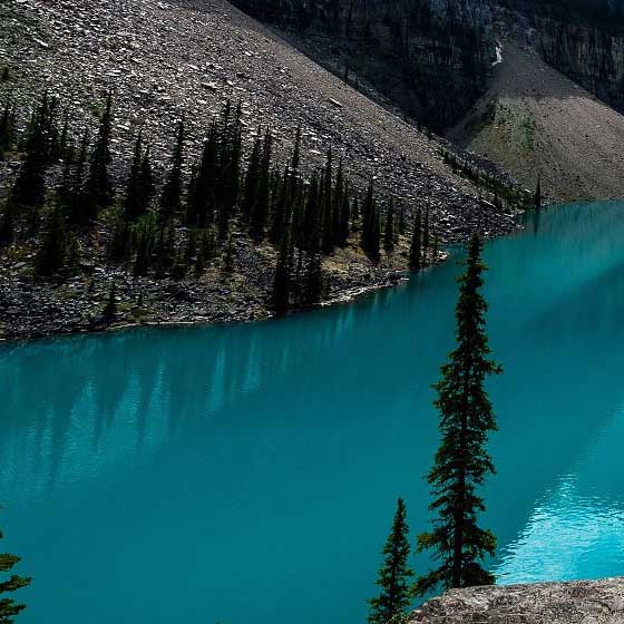 1600237017973115561cb3700cae1