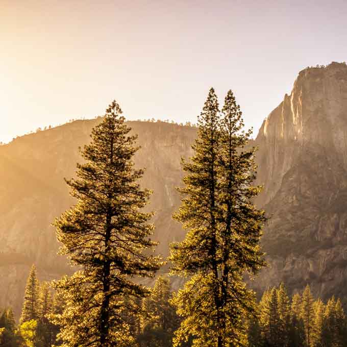 1600237017975912fd43618e49acb